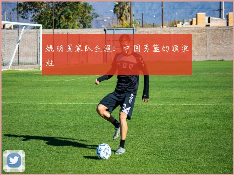 姚明国家队生涯:中国男篮的顶梁柱